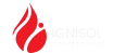 ignisol logo 2